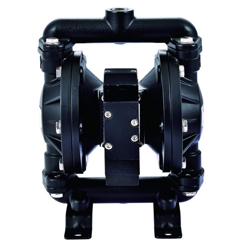 Double Diaphragm Pump For Printing