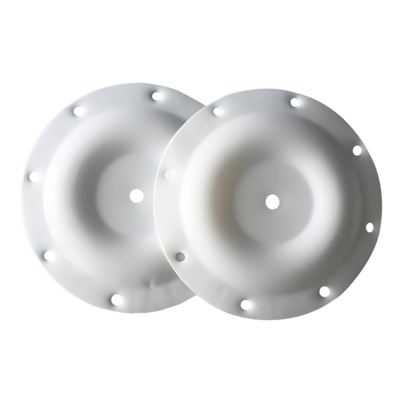 Diaphragm Pump Sheet